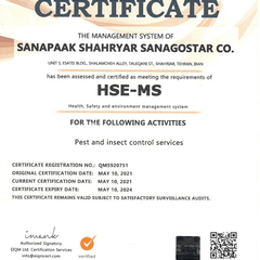 resume image