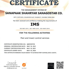 resume image