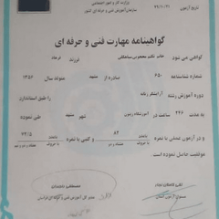 resume image
