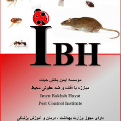 resume image