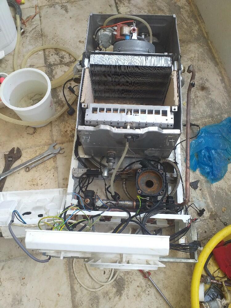 resume image