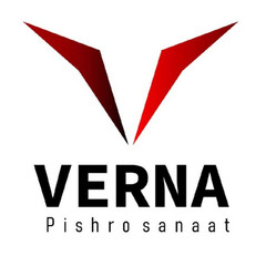 resume image