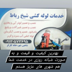 resume image