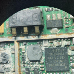 resume image