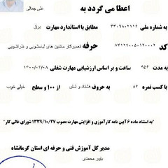 resume image