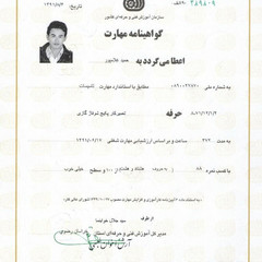 resume image