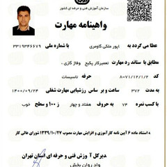 resume image