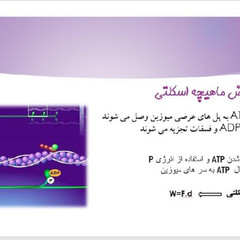 resume image