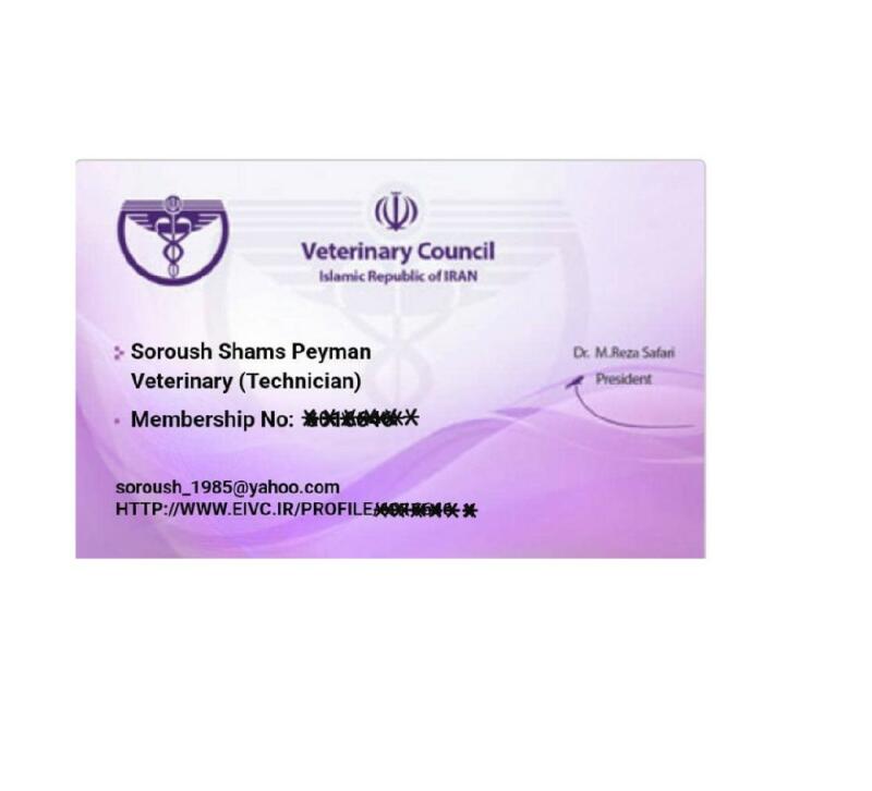 resume image