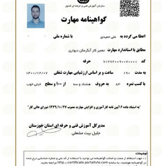 resume image