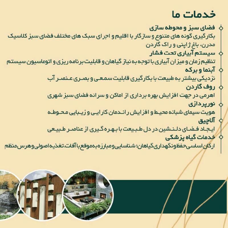 resume image