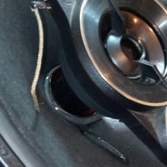 resume image