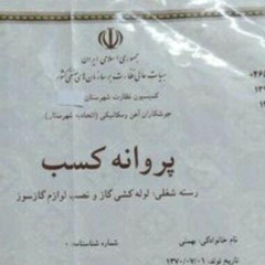 resume image