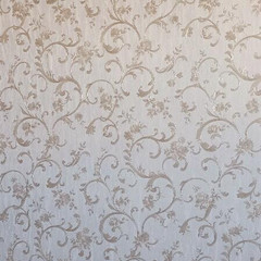 resume image