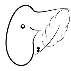 resume image