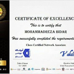 resume image