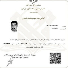 resume image