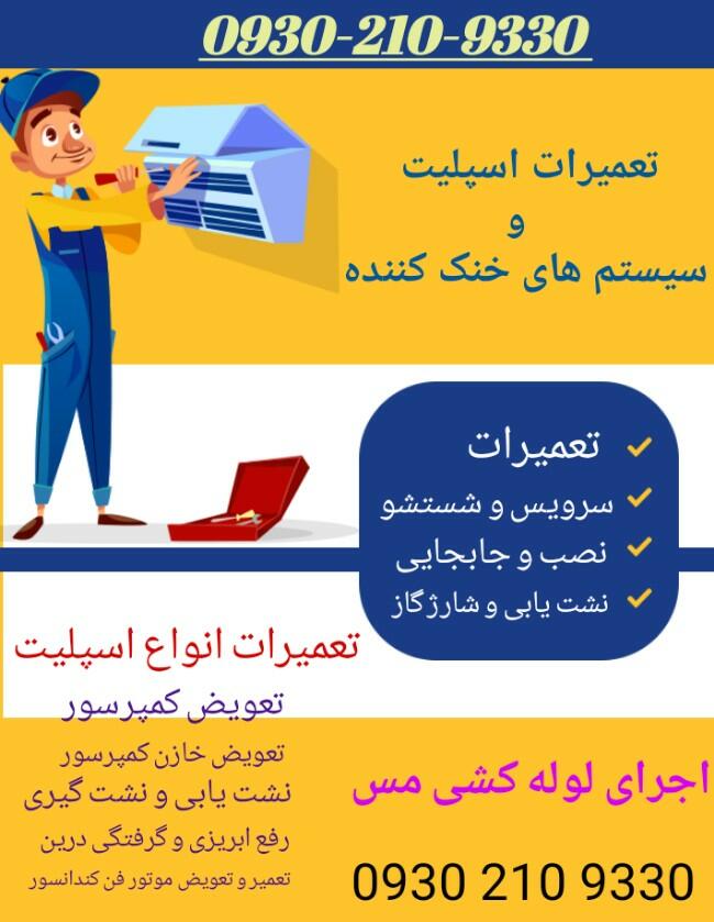 resume image