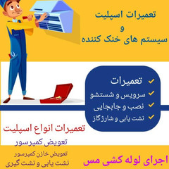 resume image