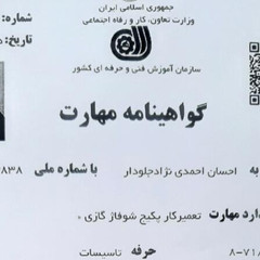 resume image