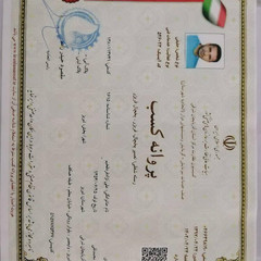 resume image