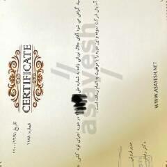 resume image