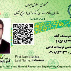 resume image