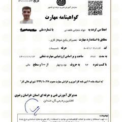resume image