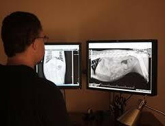 resume image