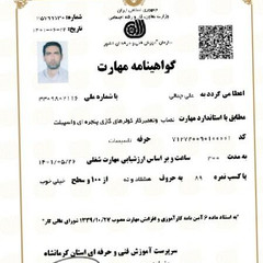 resume image