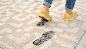 شستشو و ترمیم فرش