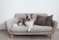 دوخت کاور مبل