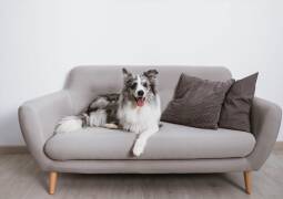 دوخت کاور مبل