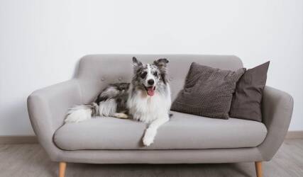 دوخت کاور مبل