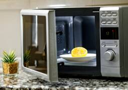 تعمیر ماکروفر