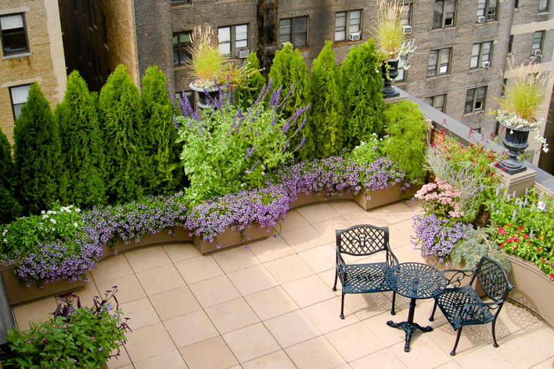 desktop head section image