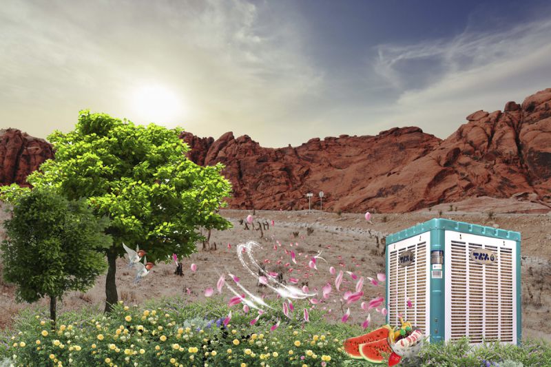 desktop head section image