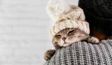 نگهداری حیوانات خانگی