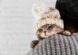 نگهداری حیوانات خانگی