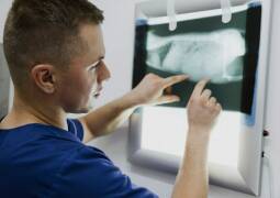 رادیولوژی و سونوگرافی حیوانات