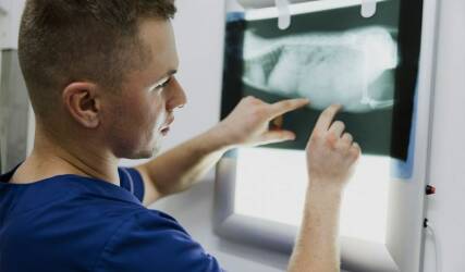 رادیولوژی و سونوگرافی حیوانات