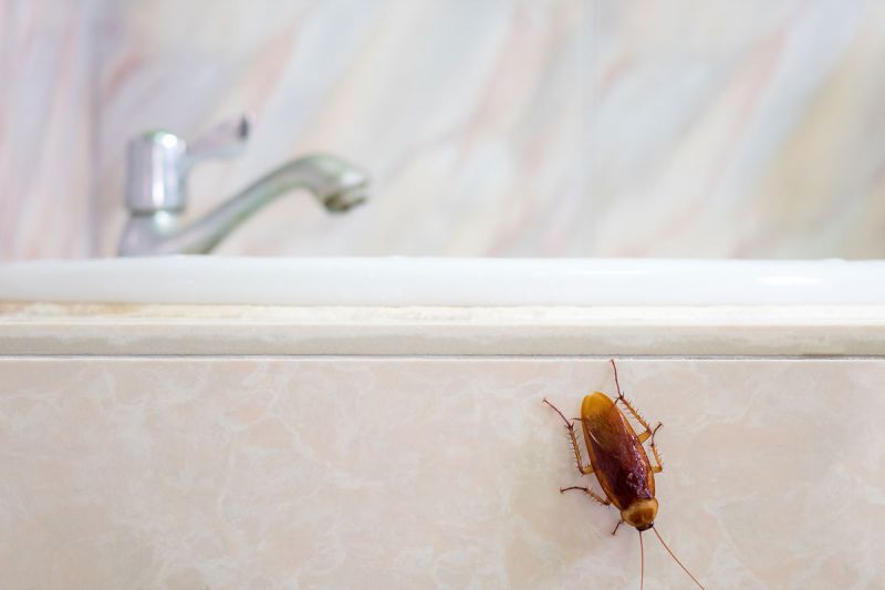 desktop head section image