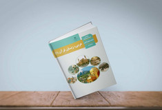 آموزش عربی دبیرستان