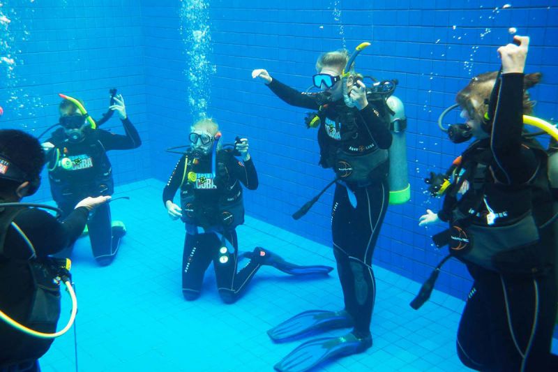 desktop head section image