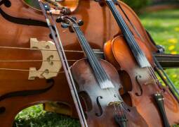 کلاس آموزش ویولنسل