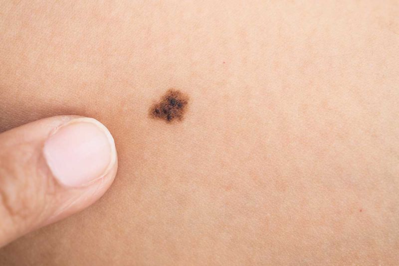 desktop head section image