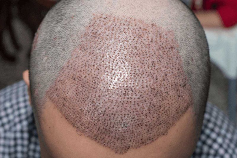 desktop head section image