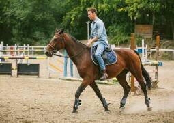 کلاس آموزش سوارکاری