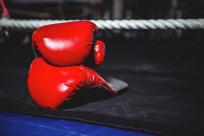 desktop head section image