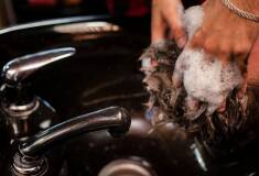 رنگ موی آقایان